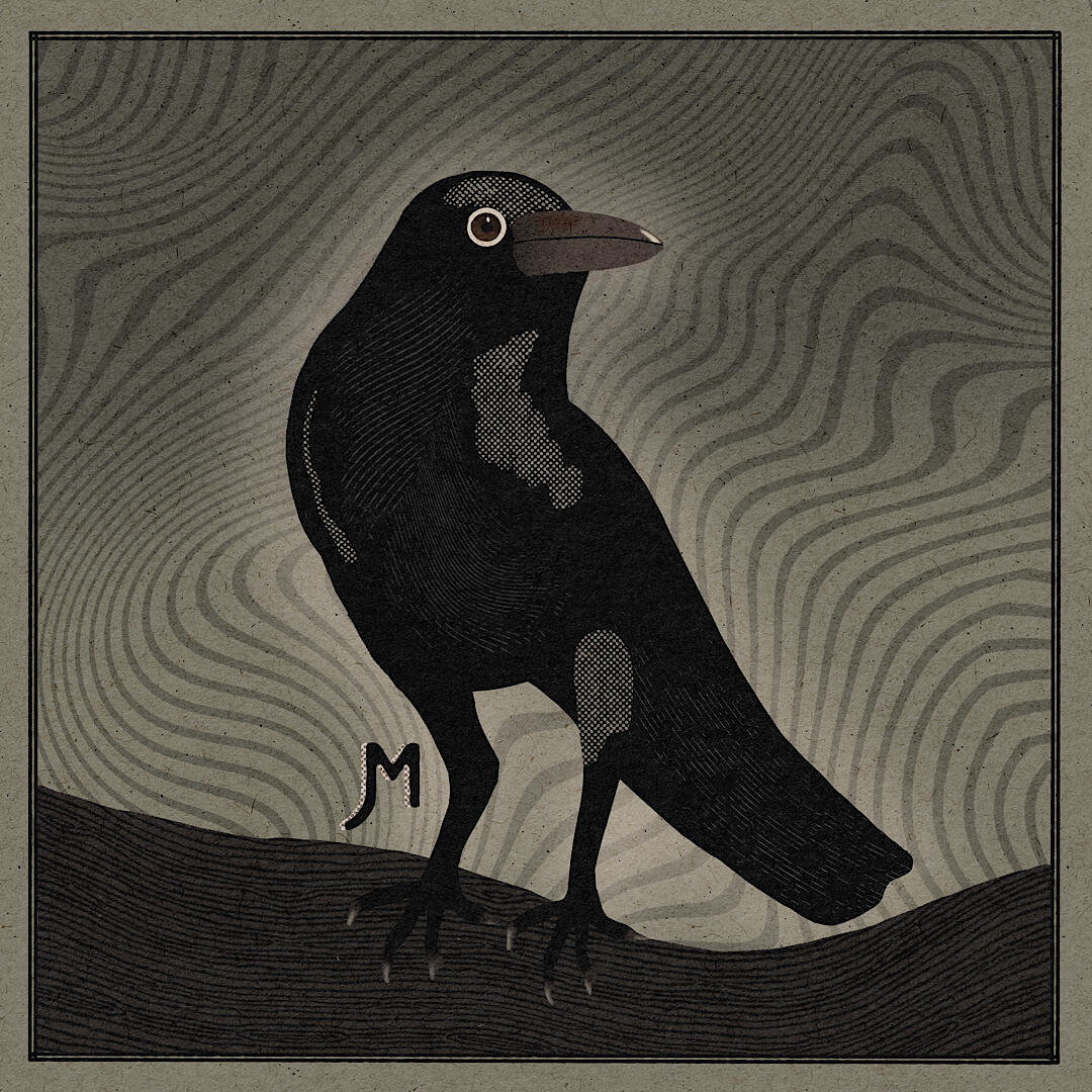 Crow