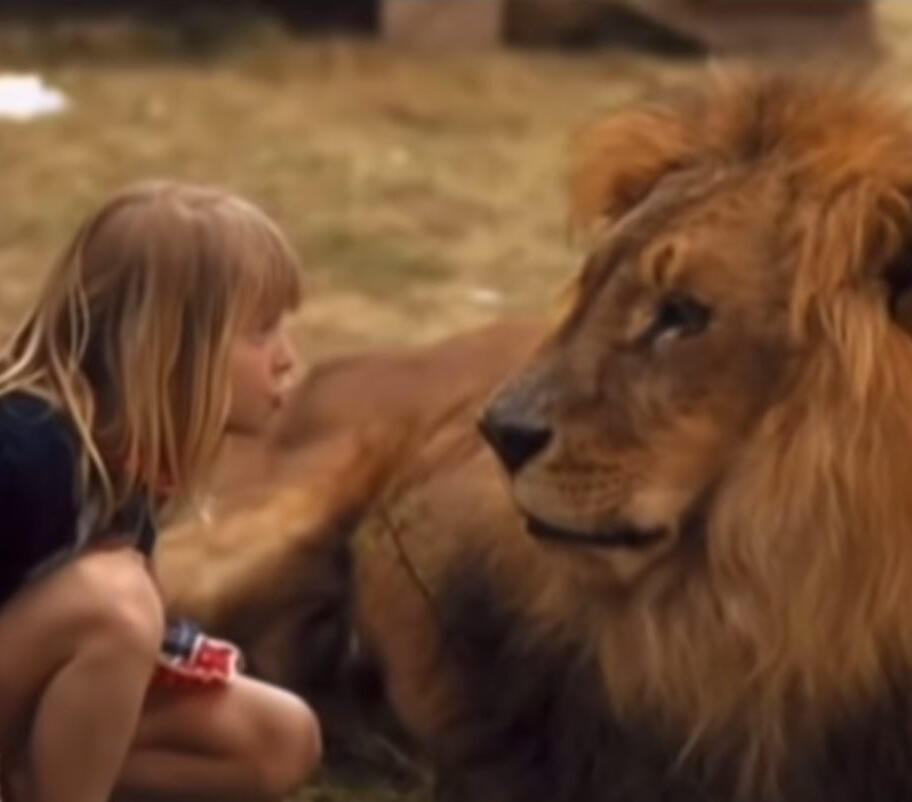 Jodie Foster &amp; Simba in the film set